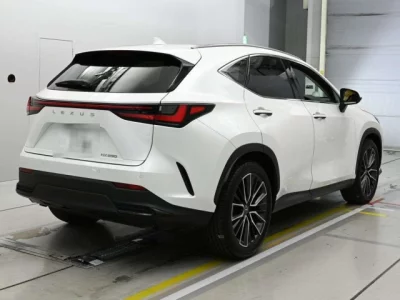 Lexus NX  с аукциона в Японии