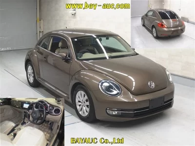 Volkswagen THE BEETLE