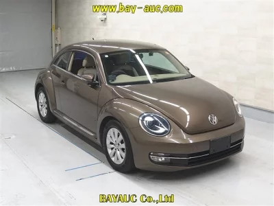 Volkswagen THE BEETLE