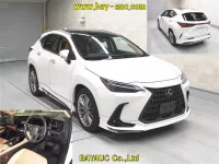Lexus NX лот № 60314 оценка 5  с аукциона в Японии 3