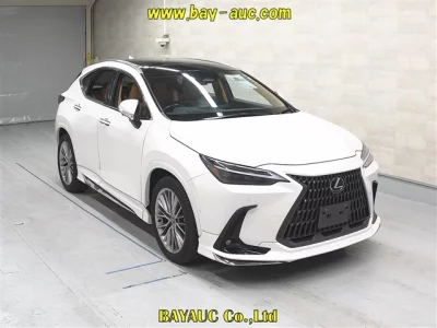 Lexus NX  с аукциона в Японии