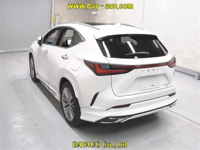 Lexus NX  с аукциона в Японии