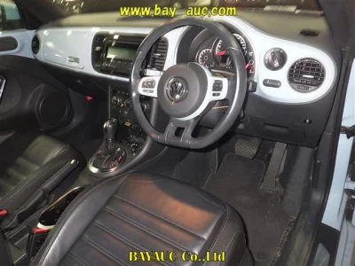 Volkswagen THE BEETLE
