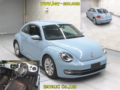 Volkswagen THE BEETLE