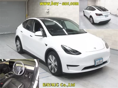 Tesla MODELY