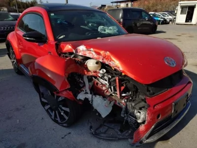 Volkswagen THE BEETLE