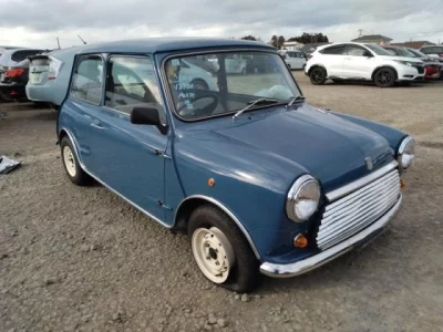 Rover MINI
