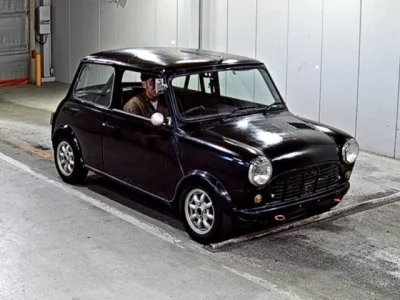 Rover MINI