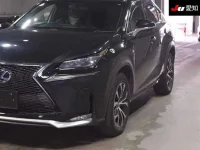 Lexus NX лот № 4046 оценка 3.5  с аукциона в Японии 6
