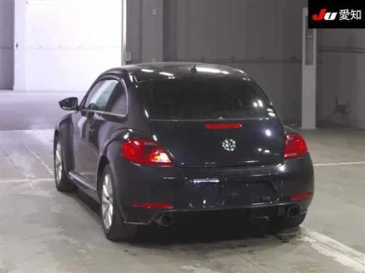 Volkswagen THE BEETLE