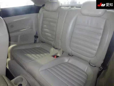 Volkswagen THE BEETLE