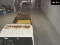 Nissan ATLAS лот № 20054 оценка 3.5  с аукциона в Японии 8