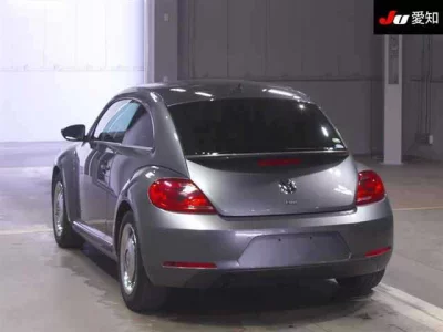 Volkswagen THE BEETLE