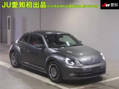 Volkswagen THE BEETLE