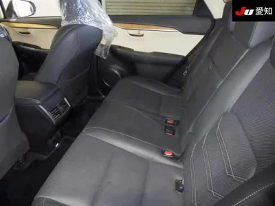 Lexus NX  с аукциона в Японии