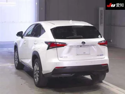 Lexus NX  с аукциона в Японии