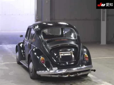 Volkswagen BEETLE