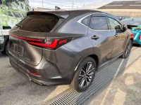 Lexus NX лот № 10004 оценка R  с аукциона в Японии 1