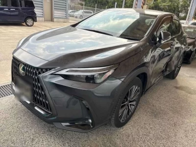Lexus NX  с аукциона в Японии
