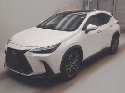 Lexus NX  с аукциона в Японии