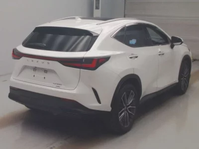 Lexus NX  с аукциона в Японии