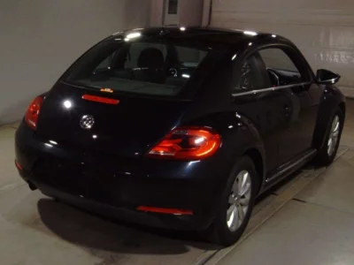 Volkswagen THE BEETLE