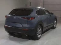 Mazda CX-30 лот № 30007 оценка 3.5  с аукциона в Японии 1