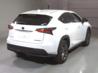 Lexus NX лот № 10015 оценка 4  с аукциона в Японии 1