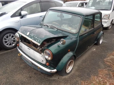 Rover MINI