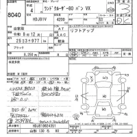 Toyota LAND CRUISER лот № 8040 оценка 3  с аукциона в Японии 5