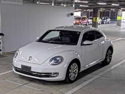 Volkswagen THE BEETLE