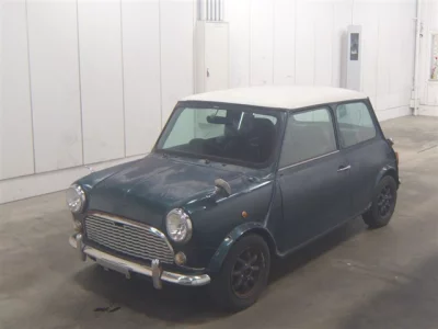 Rover MINI