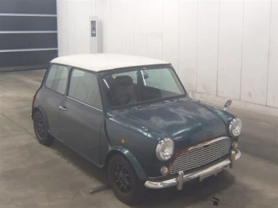 Rover MINI