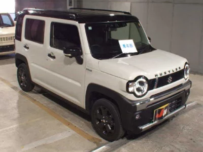 Suzuki HUSTLER