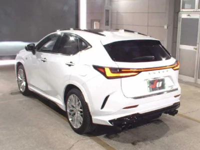 Lexus NX  с аукциона в Японии