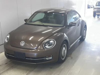 Volkswagen THE BEETLE