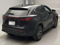 Lexus NX лот № 10024 оценка 4  с аукциона в Японии 1