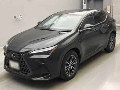 Lexus NX  с аукциона в Японии
