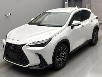Lexus NX  с аукциона в Японии