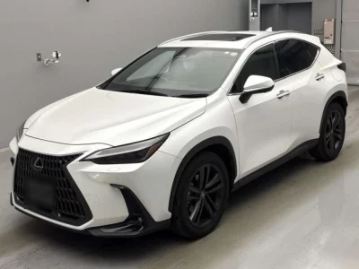 Lexus NX  с аукциона в Японии