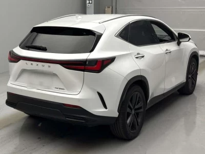 Lexus NX  с аукциона в Японии