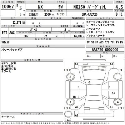 Lexus NX  с аукциона в Японии