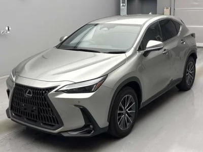 Lexus NX  с аукциона в Японии