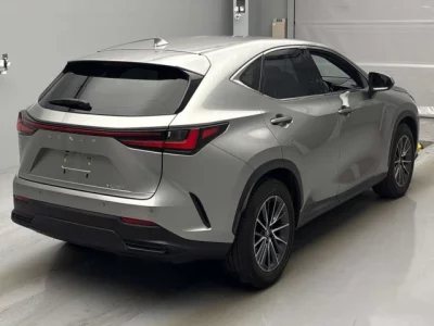 Lexus NX  с аукциона в Японии