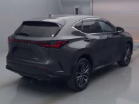 Lexus NX лот № 76031 оценка 4.5  с аукциона в Японии 1