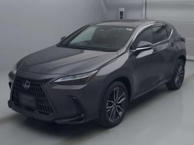 Lexus NX  с аукциона в Японии