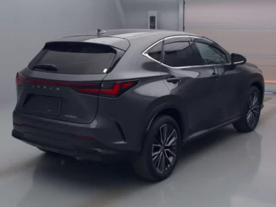 Lexus NX  с аукциона в Японии