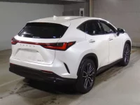 Lexus NX лот № 10006 оценка 5  с аукциона в Японии 1