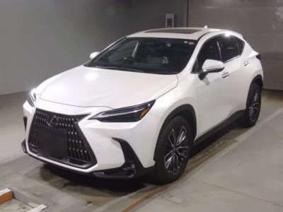 Lexus NX  с аукциона в Японии