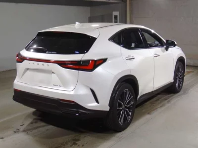 Lexus NX  с аукциона в Японии